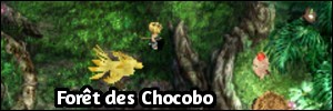 Forêt des Chocobo