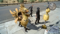 chocobo