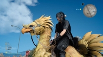 chocobo