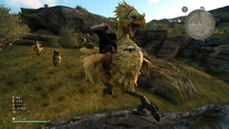 chocobo