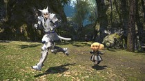 Final Fantasy XIV: A Realm Reborn