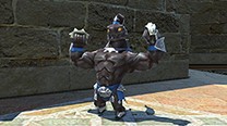 Final Fantasy XIV: A Realm Reborn