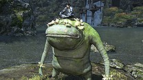 Final Fantasy XIV: A Realm Reborn