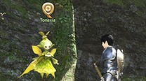 Final Fantasy XIV: A Realm Reborn