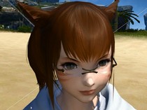 Final Fantasy XIV: A Realm Reborn
