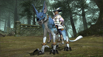 Final Fantasy XIV: A Realm Reborn