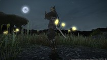 Final Fantasy XIV: A Realm Reborn