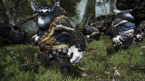Final Fantasy XIV: Heavensward