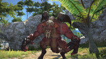 Final Fantasy XIV: A Realm Reborn