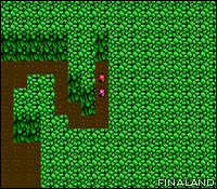 Image n°06