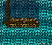 Image n°14