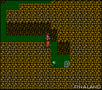 Image n°034