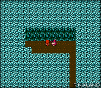Image n°041