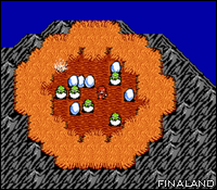 Image n°053