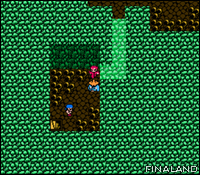 Image n°062