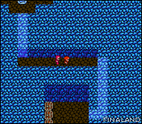 Image n°083