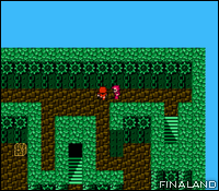 Image n°086