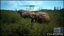 Final Fantasy XV
