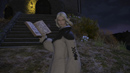 Arcaniste - Final Fantasy XIV: A Realm Reborn