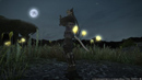 Ninja - Final Fantasy XIV: A Realm Reborn