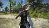 Elezen sylvestre femme