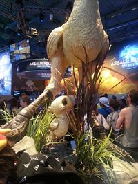 Chocobo