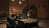 Final Fantasy XIV - Nains