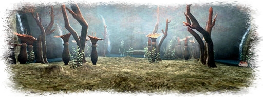 Korroloka