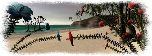 Dunes de Valkurm