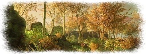 Bois de Wajaom