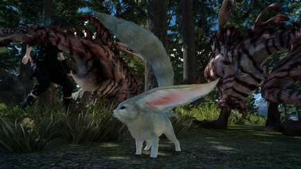 carbuncle