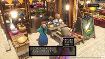 dq11