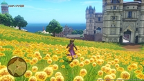 dq11