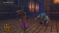 dq11