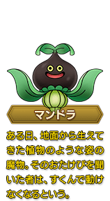DQ11