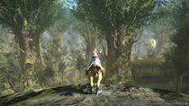 Final Fantasy XIV: A Realm Reborn