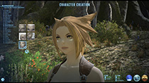 Final Fantasy XIV: A Realm Reborn